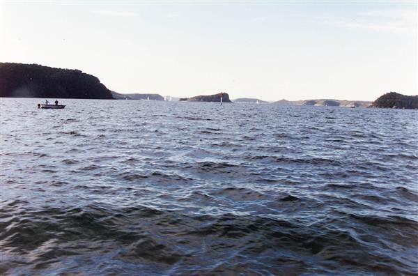 Lion Island (6/03/2013 9:37:25 PM)