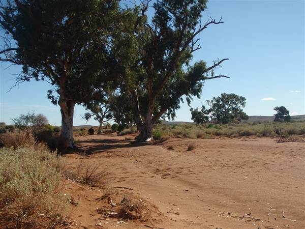 Nine Mile Road, 2012 (7/03/2013 4:17:59 AM)