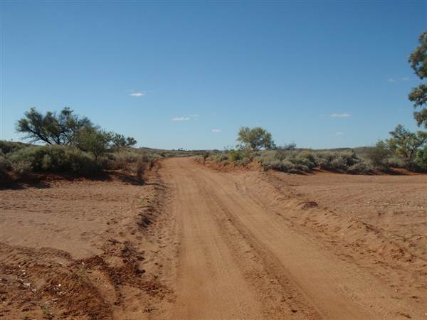 Nine Mile Road, 2012 (7/03/2013 4:19:03 AM)