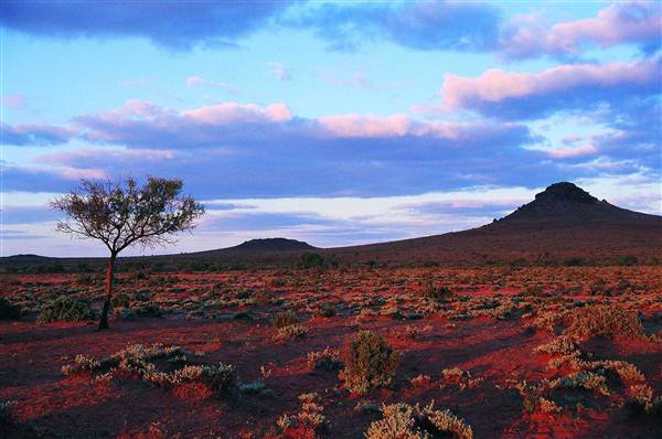 Pinnacles - Broken Hill (7/03/2013 6:18:16 AM)