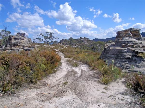 Lithgow Cliffs (7/03/2013 9:39:55 AM)
