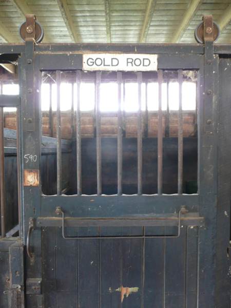 Lomar Park Stud (7/03/2013 10:02:09 AM)