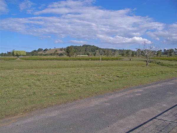 Tea Tree Estate (7/03/2013 12:11:34 PM)