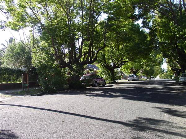 Marrickville Neighbourhood (7/03/2013 12:32:58 PM)