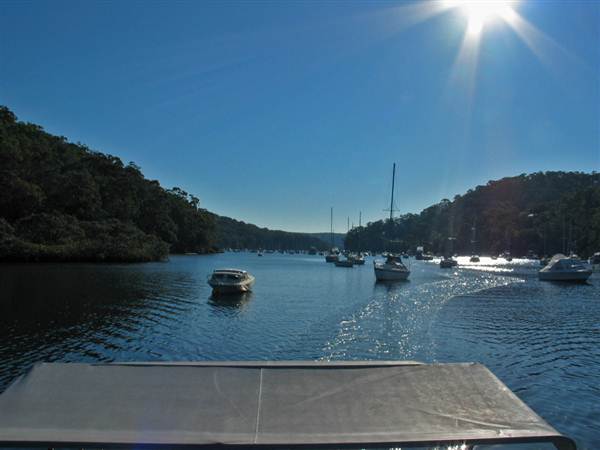 McCarrs Creek Reserve (7/03/2013 12:58:46 PM)