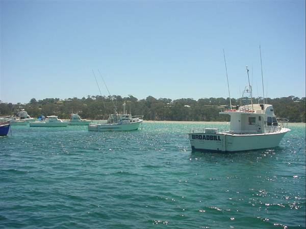 Merimbula (7/03/2013 1:03:20 PM)