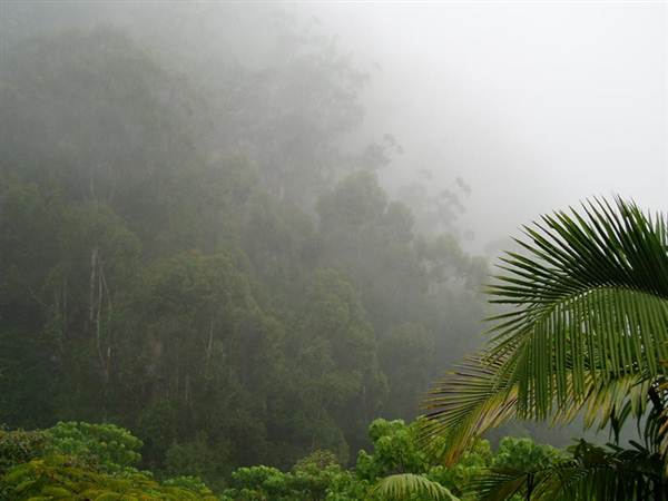 Mullumbimby Area (7/03/2013 1:50:53 PM)