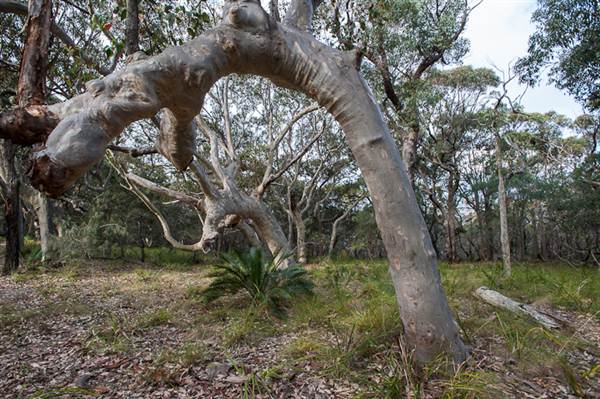 Murramarang National Park (7/03/2013 2:21:12 PM)