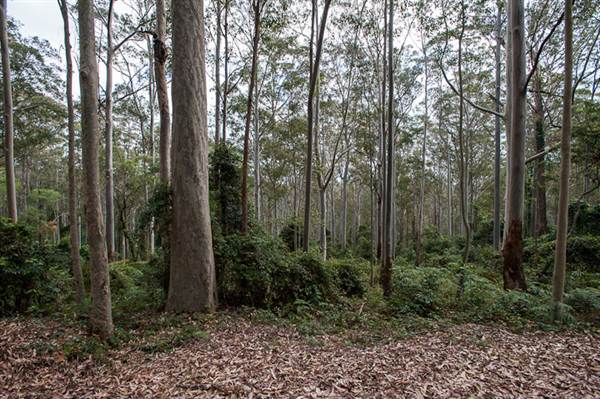 Murramarang National Park (7/03/2013 2:21:33 PM)