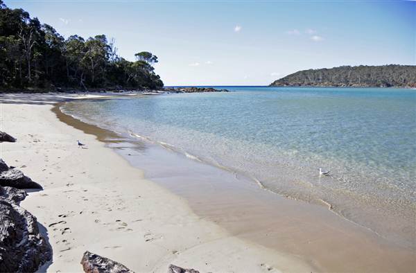 Pambula (7/03/2013 3:48:16 PM)