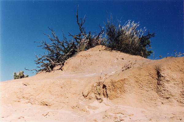Milkengay Lake Sand Dunes (7/03/2013 11:03:53 PM)