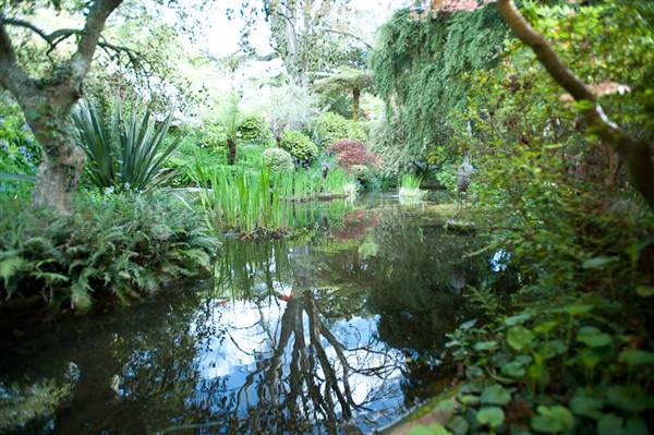 Milton Park Country House Hotel & Spa (7/03/2013 11:36:58 PM)