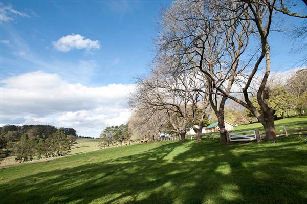 Milton Park Country House Hotel & Spa (7/03/2013 11:37:28 PM)