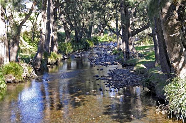 Minnamurra Falls (7/03/2013 11:43:20 PM)