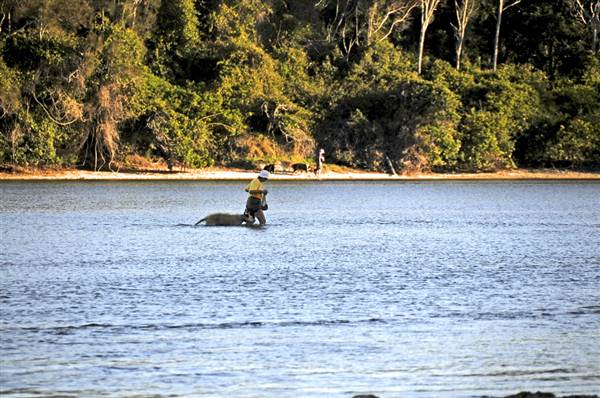 Moonee Beach (8/03/2013 12:20:35 AM)