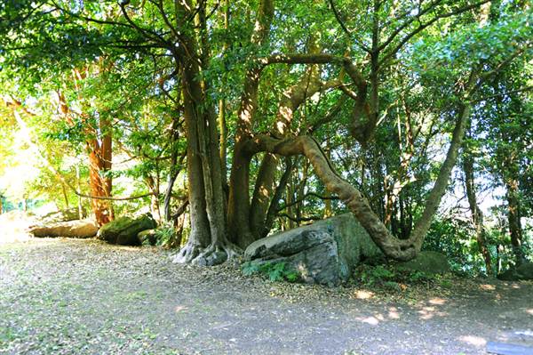 Mount Keira Scout Camp File 1 (8/03/2013 10:05:58 AM)