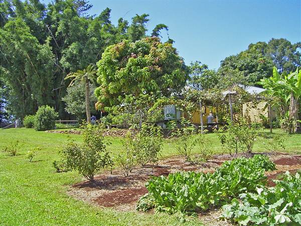 Private House - Port Macquarie (8/03/2013 10:23:21 AM)