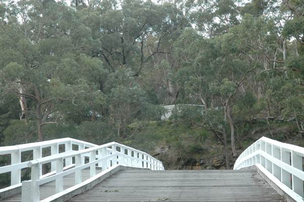 Royal National Park (8/03/2013 1:42:06 PM)