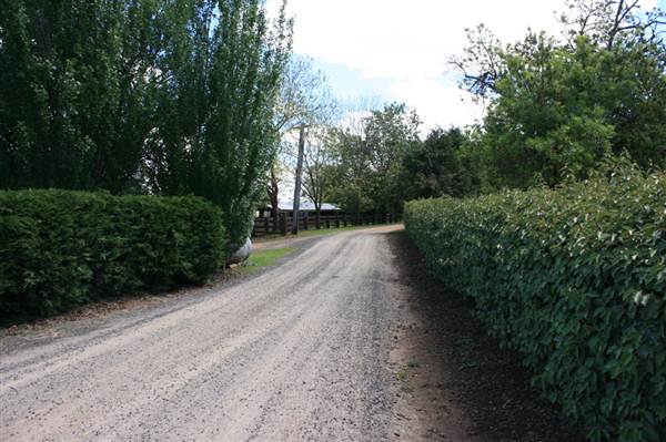 Petersons Armidale Winery & Guesthouse (9/03/2013 1:09:51 AM)