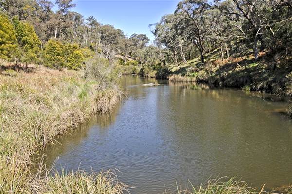 Tia Falls (9/03/2013 1:14:49 AM)