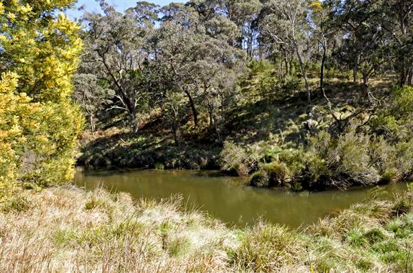 Tia Falls (9/03/2013 1:15:38 AM)