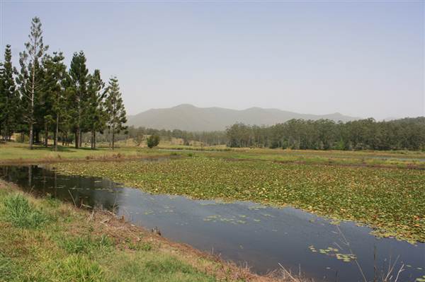 Clarrie Hall Dam (9/03/2013 1:52:46 AM)