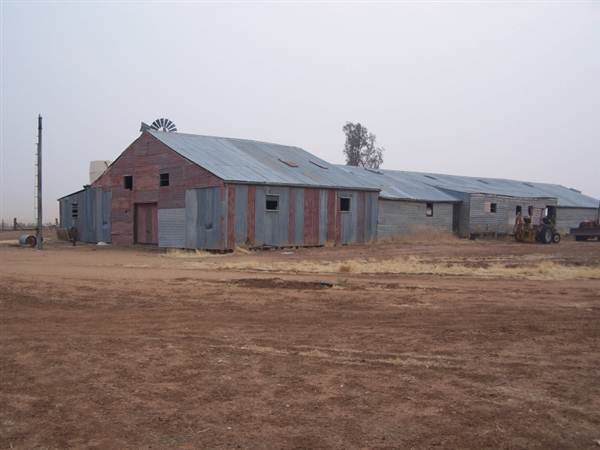 Sheaffes Shearing Shed (9/03/2013 3:05:45 AM)