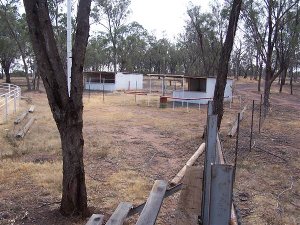 West Wyalong Rodeo Grounds (9/03/2013 11:15:27 AM)