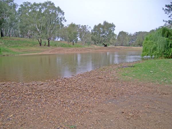 Whylandra Crossing, Dubbo (9/03/2013 11:18:28 AM)