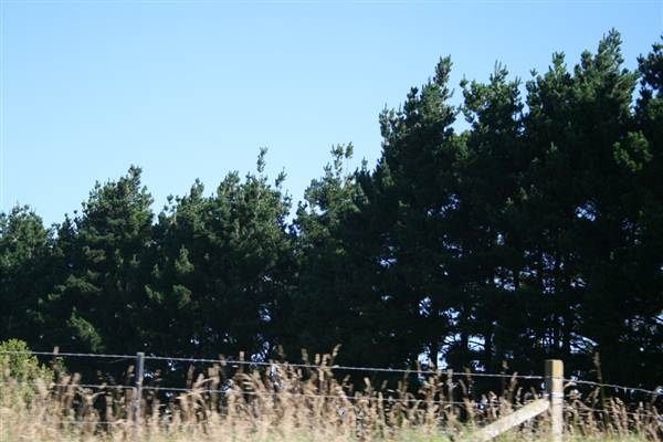 Robertson - Southern Highlands (9/03/2013 8:10:38 PM)