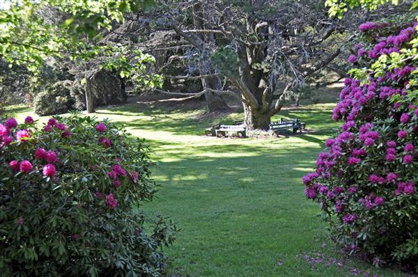 Robertson - Southern Highlands (9/03/2013 8:12:22 PM)