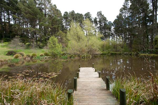 Parklands Country Garden & Lodges (10/03/2013 2:38:41 PM)