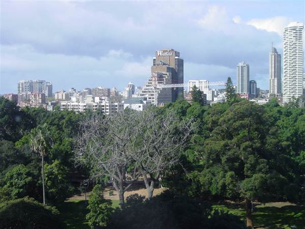 Sydney City CBD Skyline (11/03/2013 5:05:40 AM)