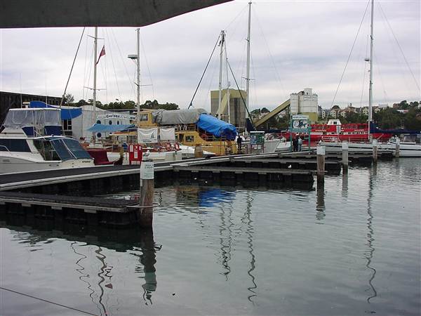 Sydney Fish Market (11/03/2013 5:16:48 AM)