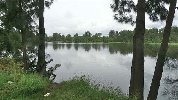 Yarramundi Reserve South (11/03/2013 11:02:28 AM)