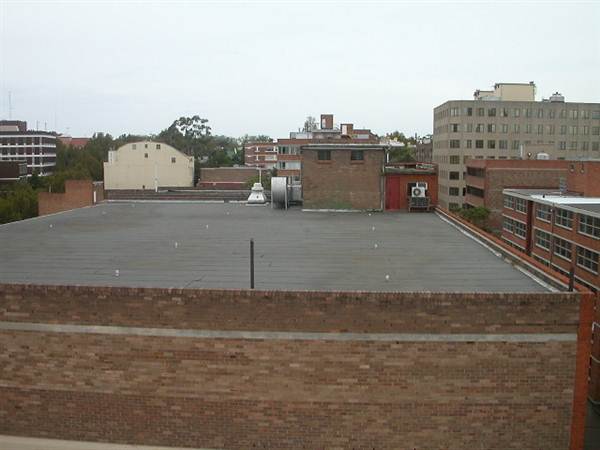 Surry Hills - Sophia Street (12/03/2013)