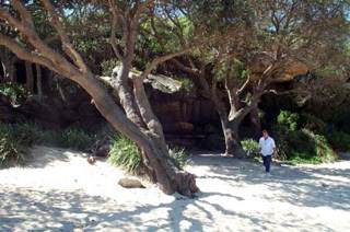 Wattamolla Beach (11/03/2013 1:00:24 PM)