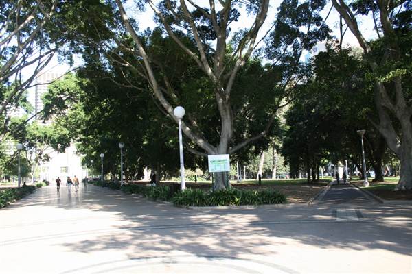 Hyde Park and Archibald Fountain - Sydney CBD (11/03/2013 1:08:47 PM)