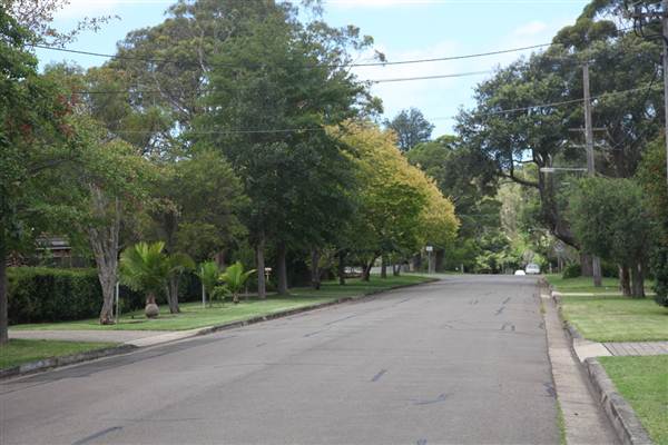 Sanford Road - Pymble (13/03/2013)