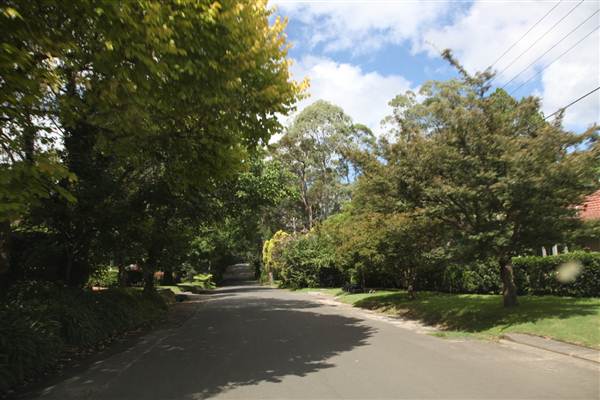 Pymble (13/03/2013)