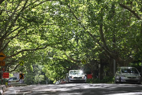 Water St - Pymble (13/03/2013)