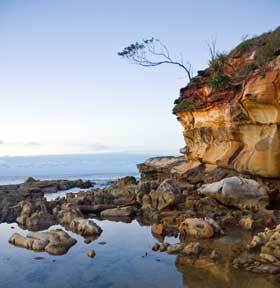 Yamba - Yuragir National Park (15/05/2012)