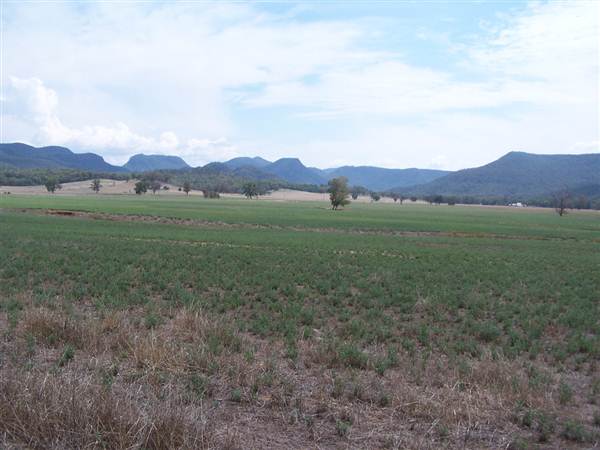 Baradine to Coonabarabran road (26/04/2013)