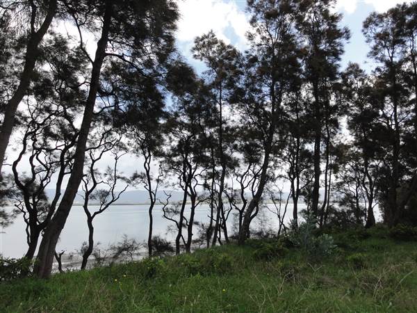 Lake Illawarra South-Skiway Park - Skiway Park & Moureendah Bay area (15/09/2011 - Credits: Tony Brown /SISE)