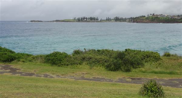 Bombo (28/02/2011 - Credits: Tony Brown /SISE)