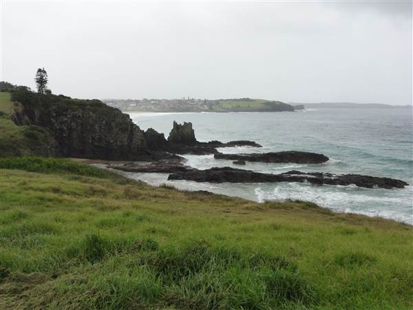 Bombo (28/02/2011 - Credits: Tony Brown /SISE)