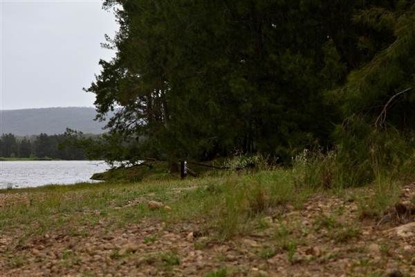 Yarramundi Reserve (17/07/2013)