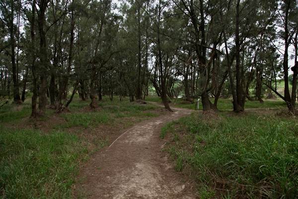 Yarramundi Reserve (17/07/2013)