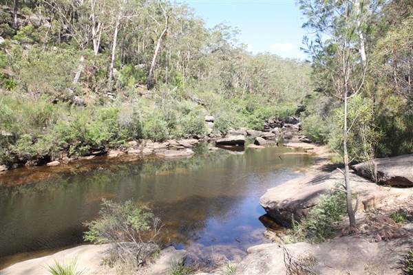 Georges River Nature Reserve (17/07/2013)