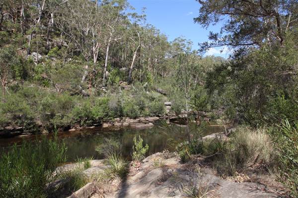 Georges River Nature Reserve (17/07/2013)